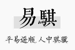 易骐名字的寓意及含义