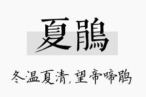 夏鹃名字的寓意及含义