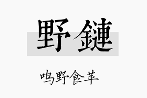 野链名字的寓意及含义