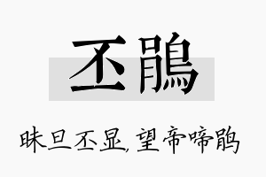 丕鹃名字的寓意及含义