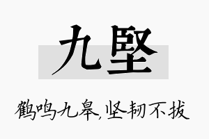 九坚名字的寓意及含义