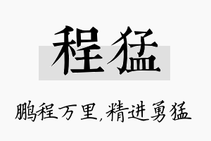 程猛名字的寓意及含义