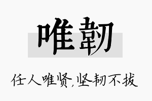 唯韧名字的寓意及含义