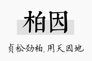 柏因名字的寓意及含义