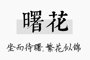 曙花名字的寓意及含义