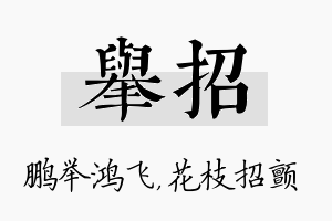 举招名字的寓意及含义