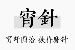 宵针名字的寓意及含义