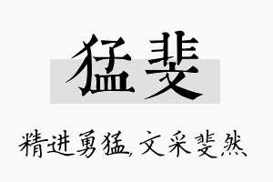 猛斐名字的寓意及含义