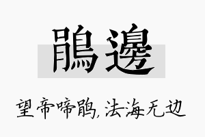 鹃边名字的寓意及含义