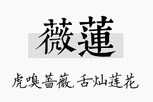 薇莲名字的寓意及含义