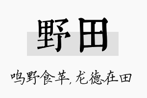 野田名字的寓意及含义