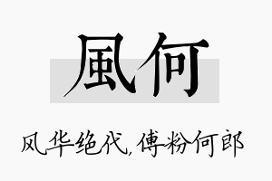 风何名字的寓意及含义