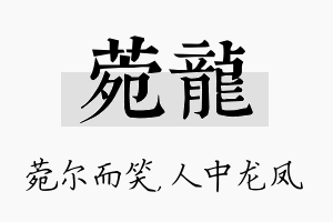 菀龙名字的寓意及含义