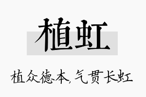 植虹名字的寓意及含义