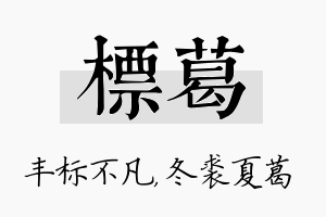 标葛名字的寓意及含义