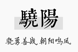 骁阳名字的寓意及含义