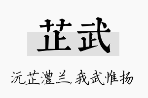 芷武名字的寓意及含义