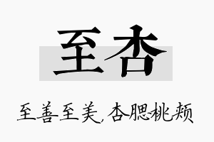 至杏名字的寓意及含义