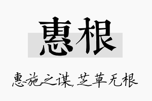 惠根名字的寓意及含义