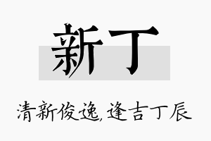 新丁名字的寓意及含义