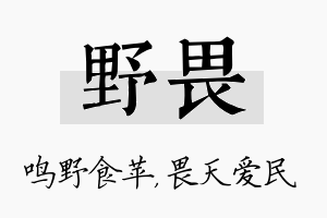 野畏名字的寓意及含义