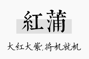 红蒲名字的寓意及含义