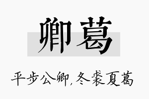 卿葛名字的寓意及含义