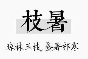 枝暑名字的寓意及含义