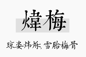 炜梅名字的寓意及含义