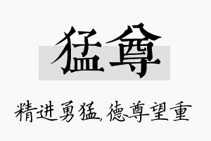 猛尊名字的寓意及含义