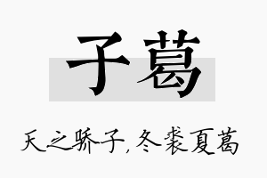 子葛名字的寓意及含义