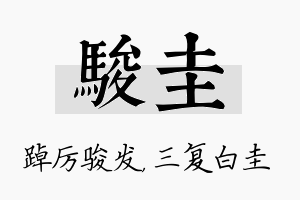 骏圭名字的寓意及含义