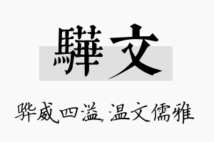 骅文名字的寓意及含义