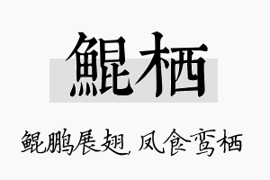 鲲栖名字的寓意及含义