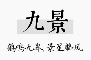 九景名字的寓意及含义