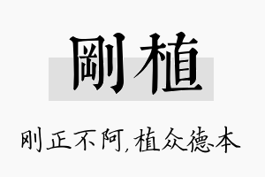 刚植名字的寓意及含义