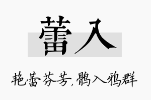 蕾入名字的寓意及含义