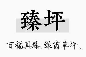 臻坪名字的寓意及含义