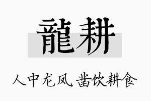 龙耕名字的寓意及含义