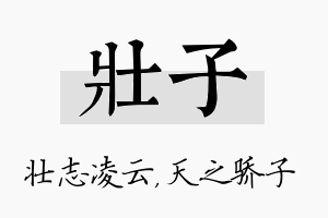 壮子名字的寓意及含义