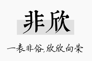 非欣名字的寓意及含义