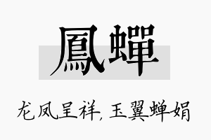 凤蝉名字的寓意及含义