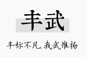 丰武名字的寓意及含义