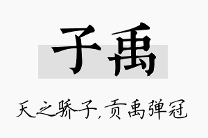 子禹名字的寓意及含义