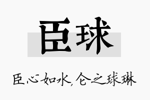 臣球名字的寓意及含义