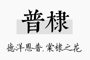 普棣名字的寓意及含义