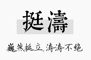 挺涛名字的寓意及含义