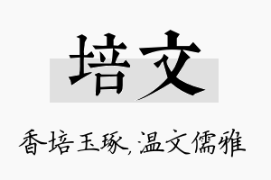 培文名字的寓意及含义