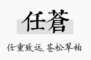 任苍名字的寓意及含义