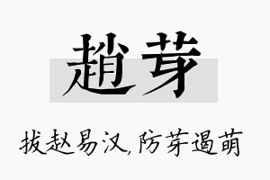 赵芽名字的寓意及含义